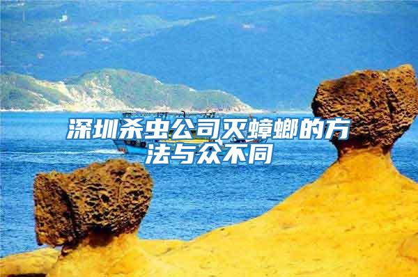 深圳殺蟲公司滅蟑螂的方法與眾不同