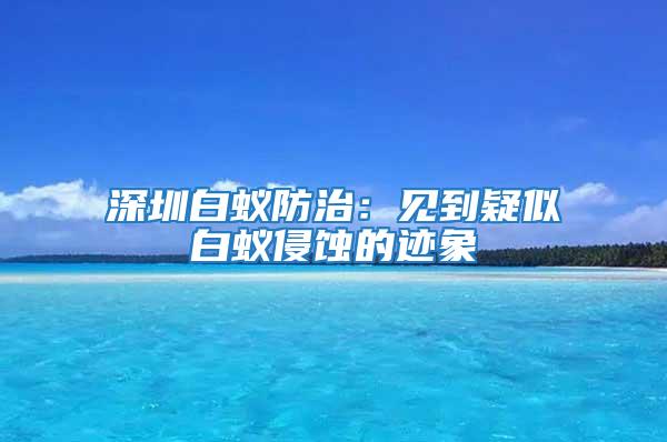 深圳白蟻防治：見到疑似白蟻侵蝕的跡象