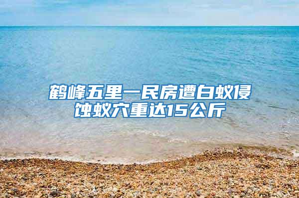鶴峰五里一民房遭白蟻侵蝕蟻穴重達15公斤