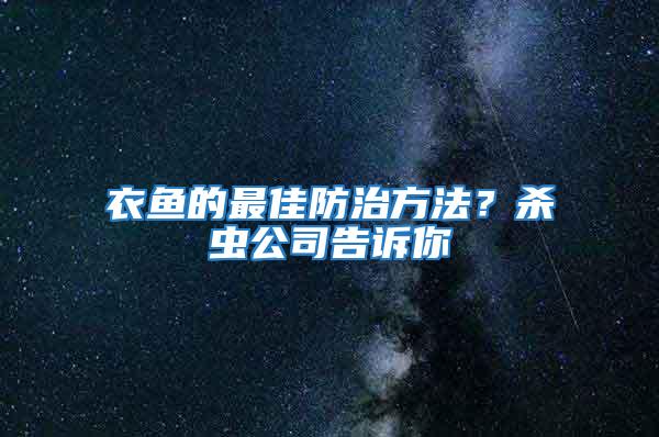 衣魚的最佳防治方法？殺蟲公司告訴你