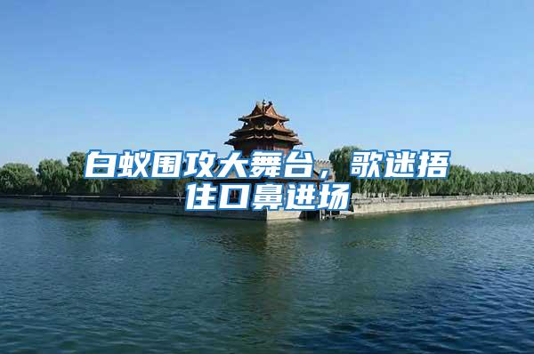 白蟻圍攻大舞臺(tái)，歌迷捂住口鼻進(jìn)場(chǎng)