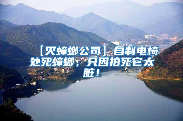 【滅蟑螂公司】自制電椅處死蟑螂，只因拍死它太臟！
