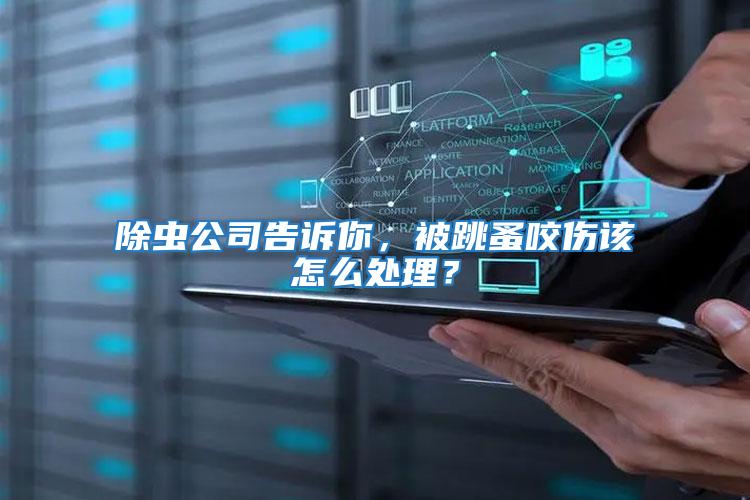 除蟲公司告訴你，被跳蚤咬傷該怎么處理？