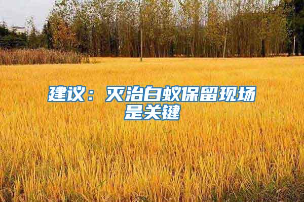 建議：滅治白蟻保留現場是關鍵