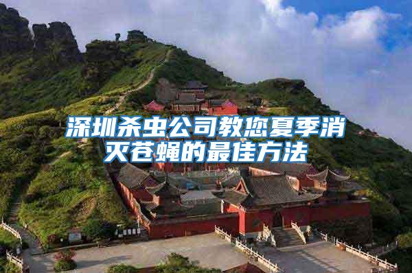 深圳殺蟲(chóng)公司教您夏季消滅蒼蠅的最佳方法