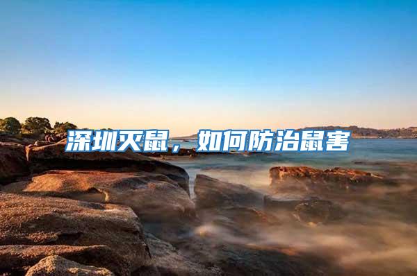 深圳滅鼠，如何防治鼠害