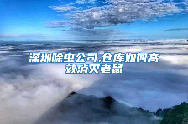 深圳除蟲公司,倉庫如何高效消滅老鼠