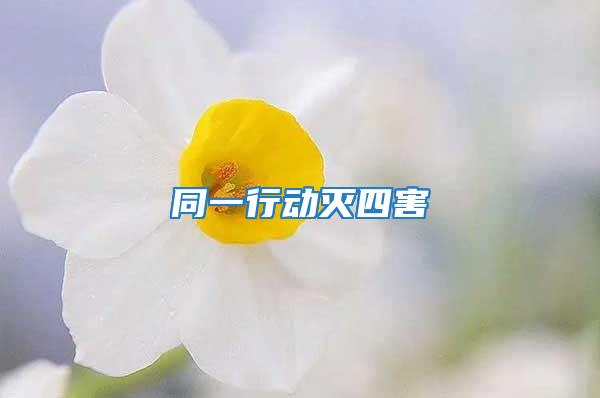 同一行動滅四害