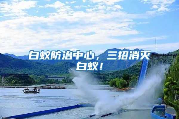 白蟻防治中心，三招消滅白蟻！
