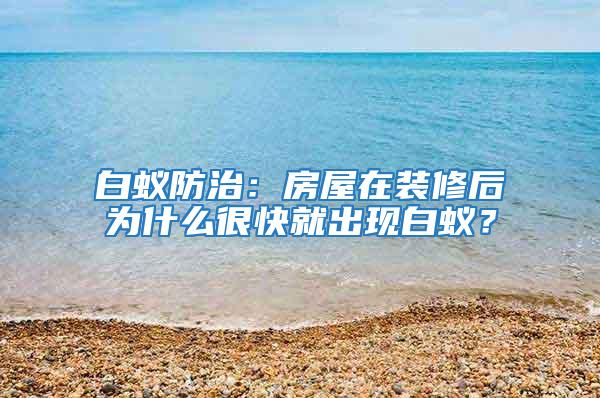白蟻防治：房屋在裝修后為什么很快就出現白蟻？