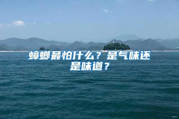 蟑螂最怕什么？是氣味還是味道？