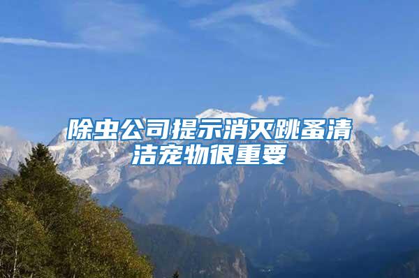 除蟲公司提示消滅跳蚤清潔寵物很重要