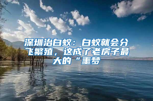 深圳治白蟻：白蟻就會分飛繁殖，這成了老房子最大的“噩夢