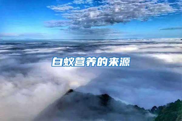 白蟻營養的來源