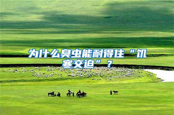 為什么臭蟲能耐得住“饑寒交迫”？