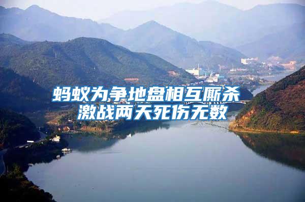 螞蟻為爭地盤相互廝殺 激戰兩天死傷無數