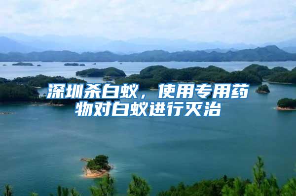 深圳殺白蟻，使用專用藥物對白蟻進行滅治