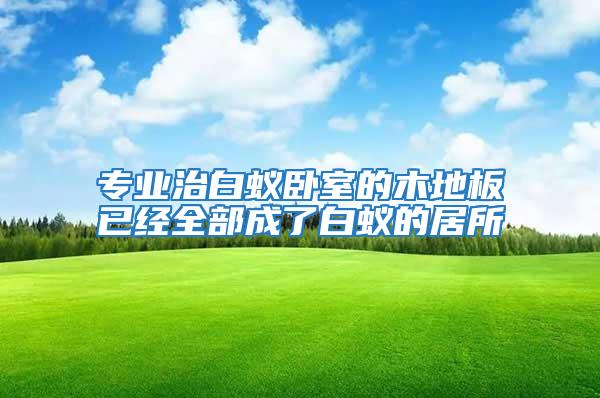 專業治白蟻臥室的木地板已經全部成了白蟻的居所