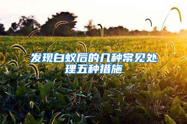 發現白蟻后的幾種常見處理五種措施