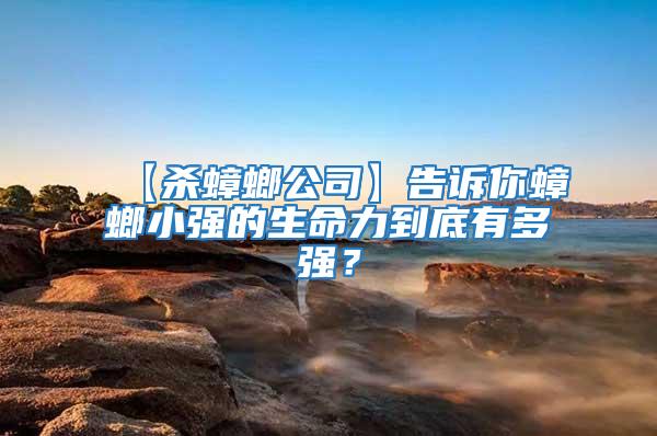 【殺蟑螂公司】告訴你蟑螂小強的生命力到底有多強？