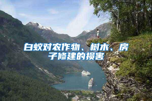 白蟻對農作物、樹木、房子修建的損害