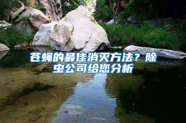 蒼蠅的最佳消滅方法？除蟲公司給您分析