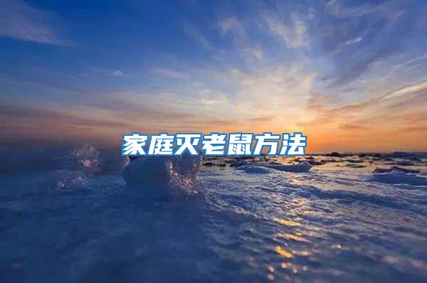 家庭滅老鼠方法