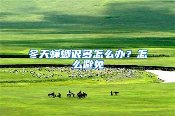 冬天蟑螂很多怎么辦？怎么避免