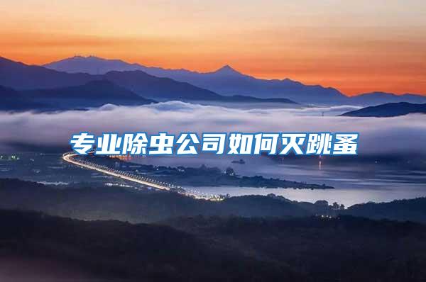 專(zhuān)業(yè)除蟲(chóng)公司如何滅跳蚤