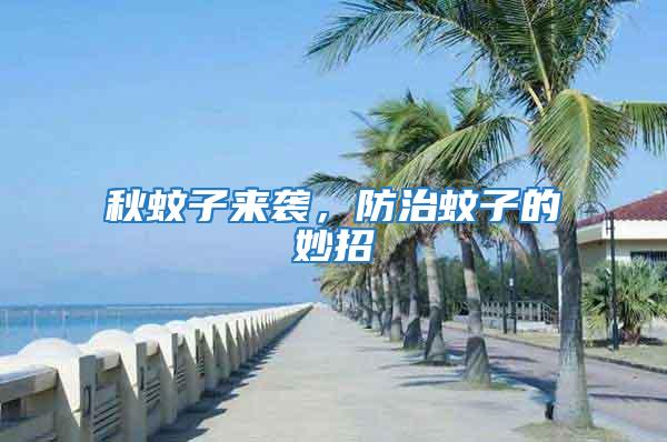 秋蚊子來襲，防治蚊子的妙招