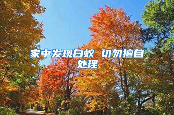 家中發現白蟻 切勿擅自處理