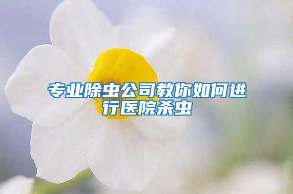 專業除蟲公司教你如何進行醫院殺蟲