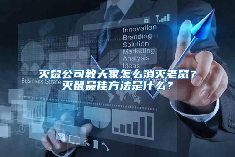 滅鼠公司教大家怎么消滅老鼠？滅鼠最佳方法是什么？