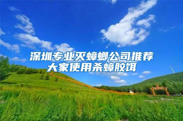 深圳專業滅蟑螂公司推薦大家使用殺蟑膠餌
