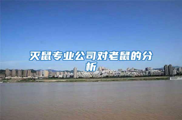 滅鼠專業公司對老鼠的分析