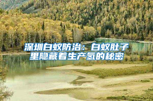 深圳白蟻防治：白蟻肚子里隱藏著生產氫的秘密
