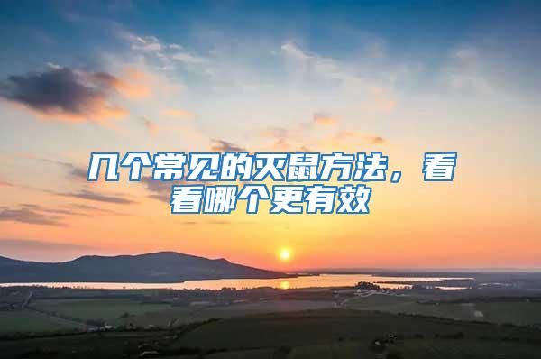幾個常見的滅鼠方法，看看哪個更有效