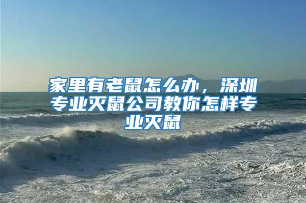 家里有老鼠怎么辦，深圳專業滅鼠公司教你怎樣專業滅鼠