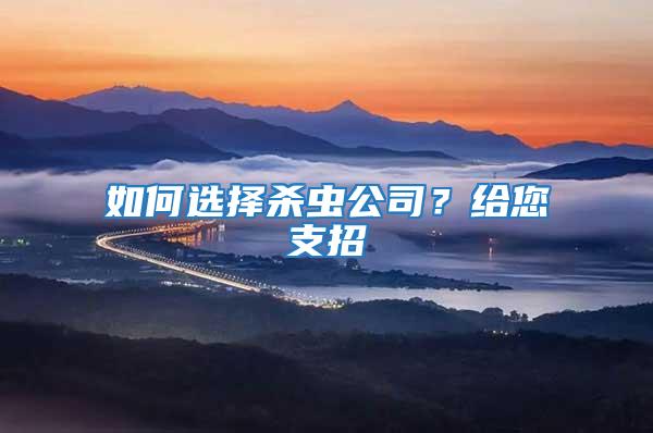 如何選擇殺蟲公司？給您支招