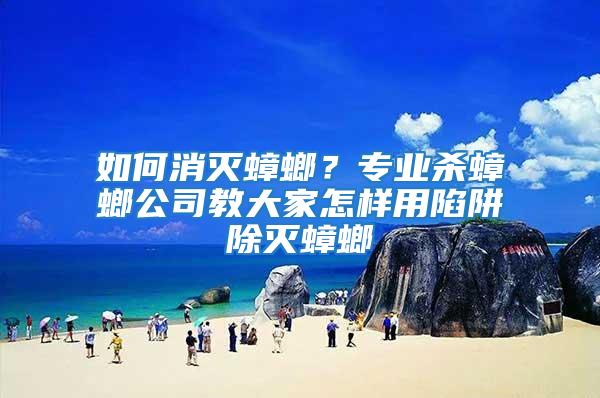 如何消滅蟑螂？專業(yè)殺蟑螂公司教大家怎樣用陷阱除滅蟑螂