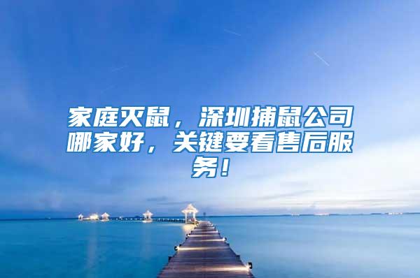 家庭滅鼠，深圳捕鼠公司哪家好，關鍵要看售后服務！