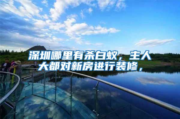 深圳哪里有殺白蟻，主人大都對新房進行裝修，