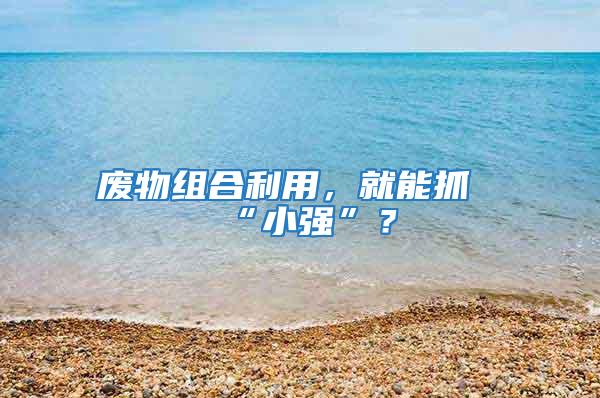 廢物組合利用，就能抓“小強”？