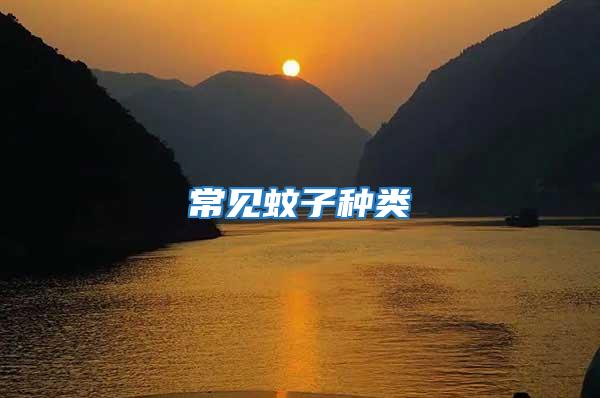 常見蚊子種類