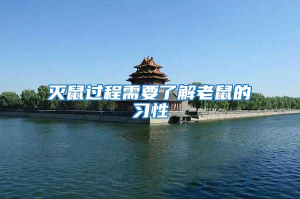 滅鼠過程需要了解老鼠的習(xí)性