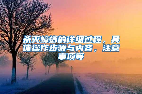 殺滅蟑螂的詳細(xì)過程，具體操作步驟與內(nèi)容，注意事項(xiàng)等