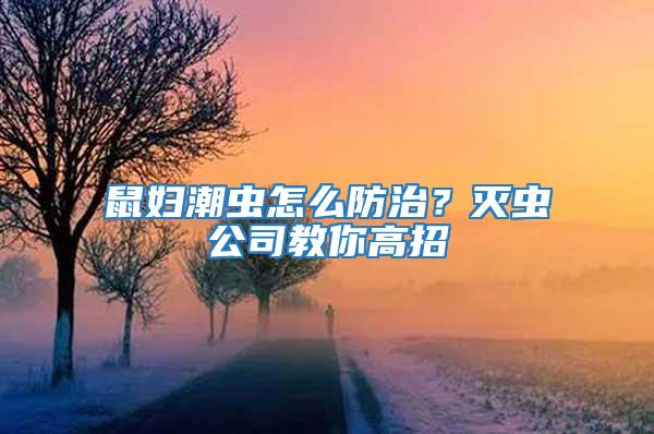 鼠婦潮蟲怎么防治？滅蟲公司教你高招