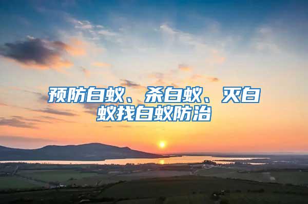 預防白蟻、殺白蟻、滅白蟻找白蟻防治