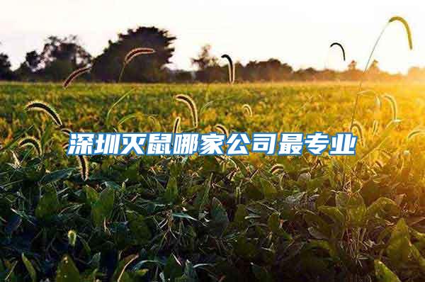 深圳滅鼠哪家公司最專業