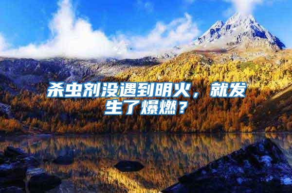 殺蟲劑沒遇到明火，就發(fā)生了爆燃？